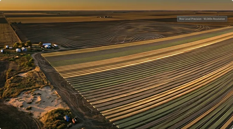 Aerial view of precision agriculture rows stretching toward the horizon